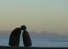 "Dawn Greeting"