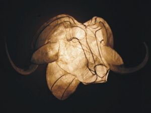 "Buffalo "