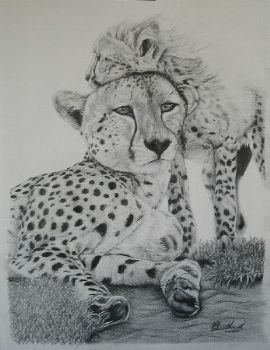 "Maternal Cheetah"