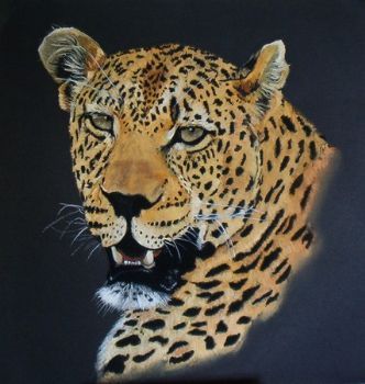 "Leopard Portrait #1"