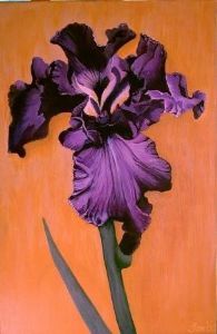 "The Iris"