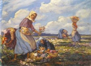 "Blommeplukkers van Namakwaland"