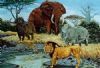 "Big Five"