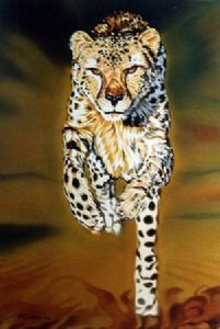 "Cheetah Running"