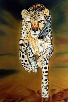 "Cheetah Running"