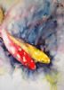 "Two koi"