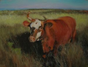 "Cow in Sandveld Landscape"
