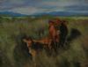 "Cow and Calf in Sandveld Landscape"
