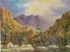 "Swellendam Farm"