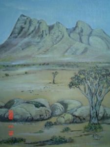 "Namibia Mountains - Rocks and Quiver Tree"