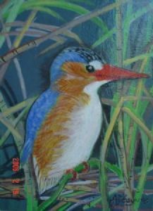 "Kingfisher"
