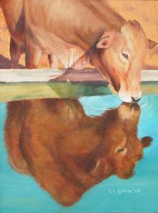"Narcissistic Cow"