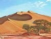 "Sossusvlei Trees"