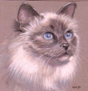 "Blue Eyes"