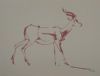 "Rooibok"