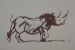 Rhino