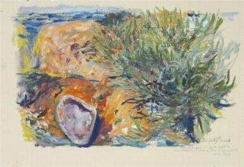 "Sea plants and shell, Jager Walk"