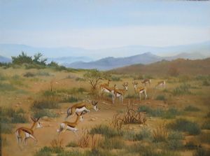 "Springbok in the Karoo"