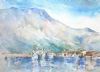 "Hout Bay Harbour and Mountains"