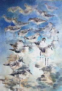 "Waders"