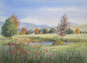 "Drakensburg Landscape with Cosmos"