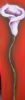 "Single Arum Lily"