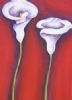 "Arum Liles"
