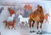 "Horse Memories"