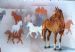 Horse Memories