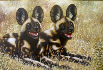 "Wild Dogs"