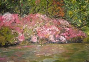 "Azaleas Reflections at Magoebaskloof"