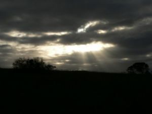 "Evening Sky"