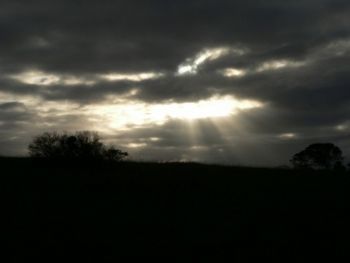 "Evening Sky"