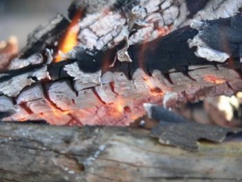 "Burning Logs"