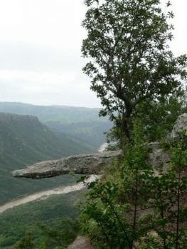"Natures Viewpoint"