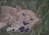"Lioness"