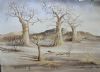 "Baobabs"