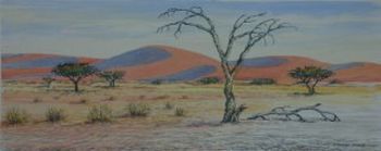 "Namib Dead Tree Sossusvlei"