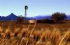 "Snowcapped Karoo"