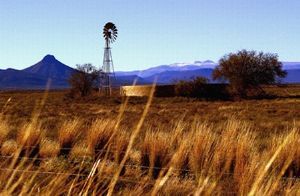 "Snowcapped Karoo"