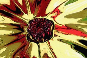 "Daisy Three"