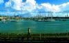 "P.E. Harbour"