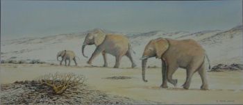 "Elephants in the Kaokoveld"