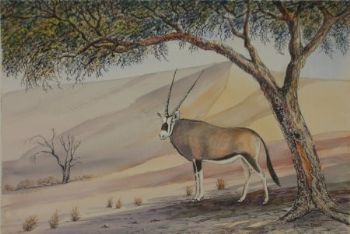 "Oryx"