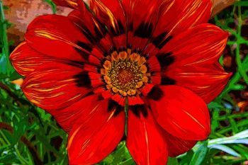 "Daisy"