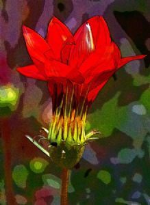 "Daisy Two"