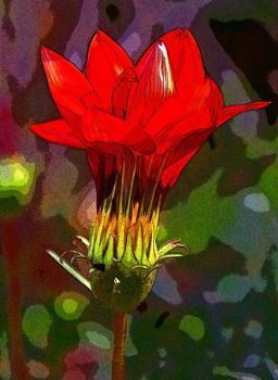 "Daisy Two"