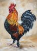 "Rooster 4"