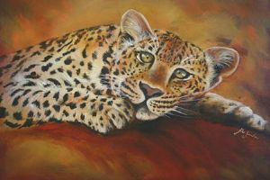 "Resting Leopard"