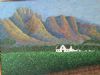 "Stellenbosch farm"